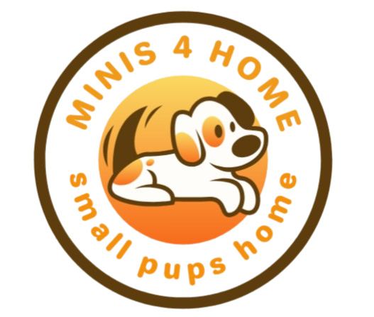 Minis 4 Homes
